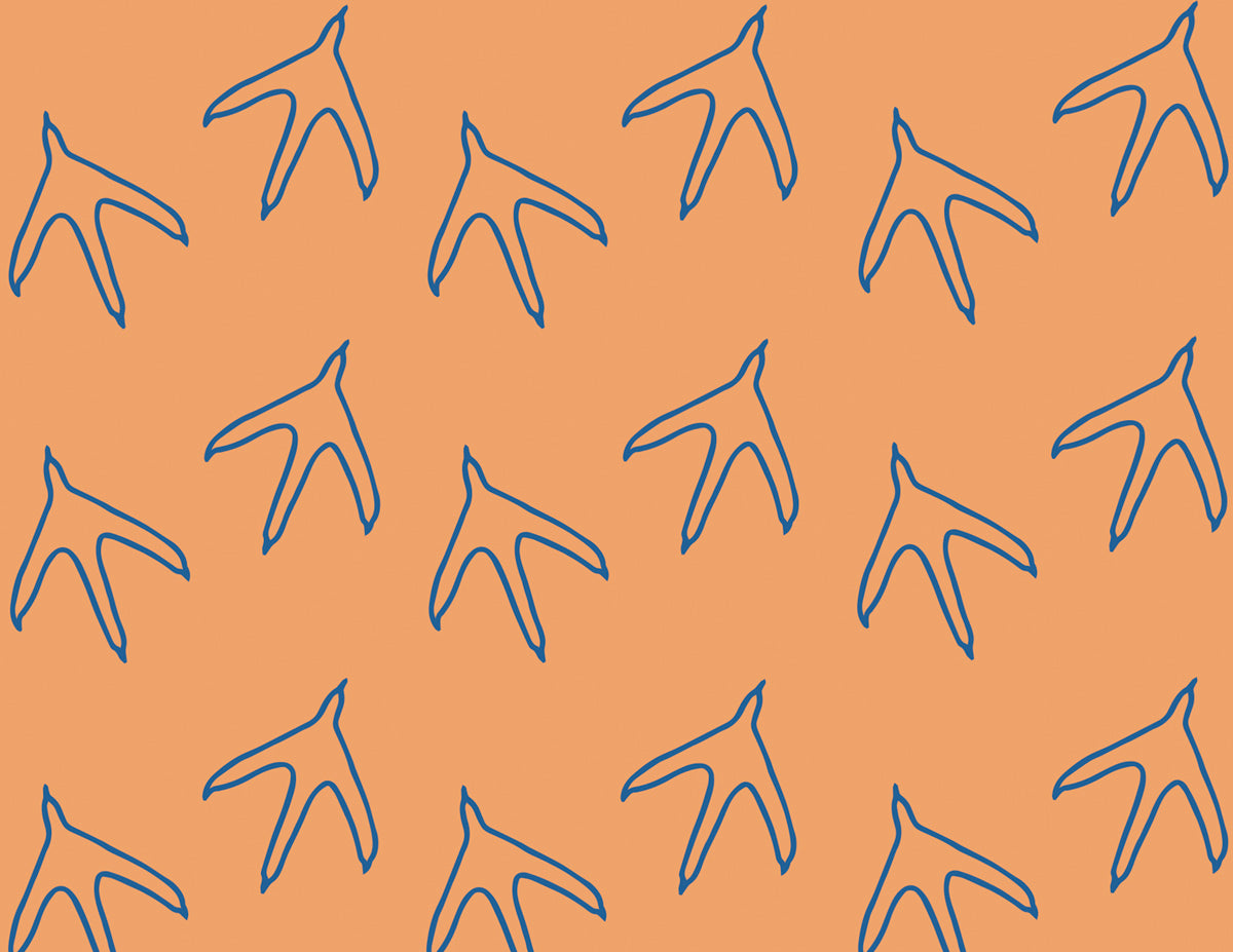 Chicken Feet