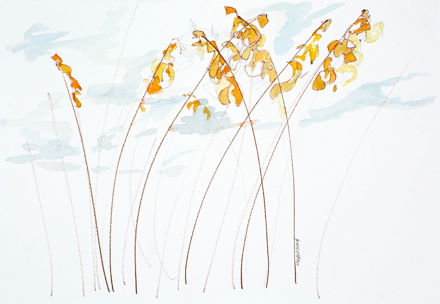 Marsh Grass #1