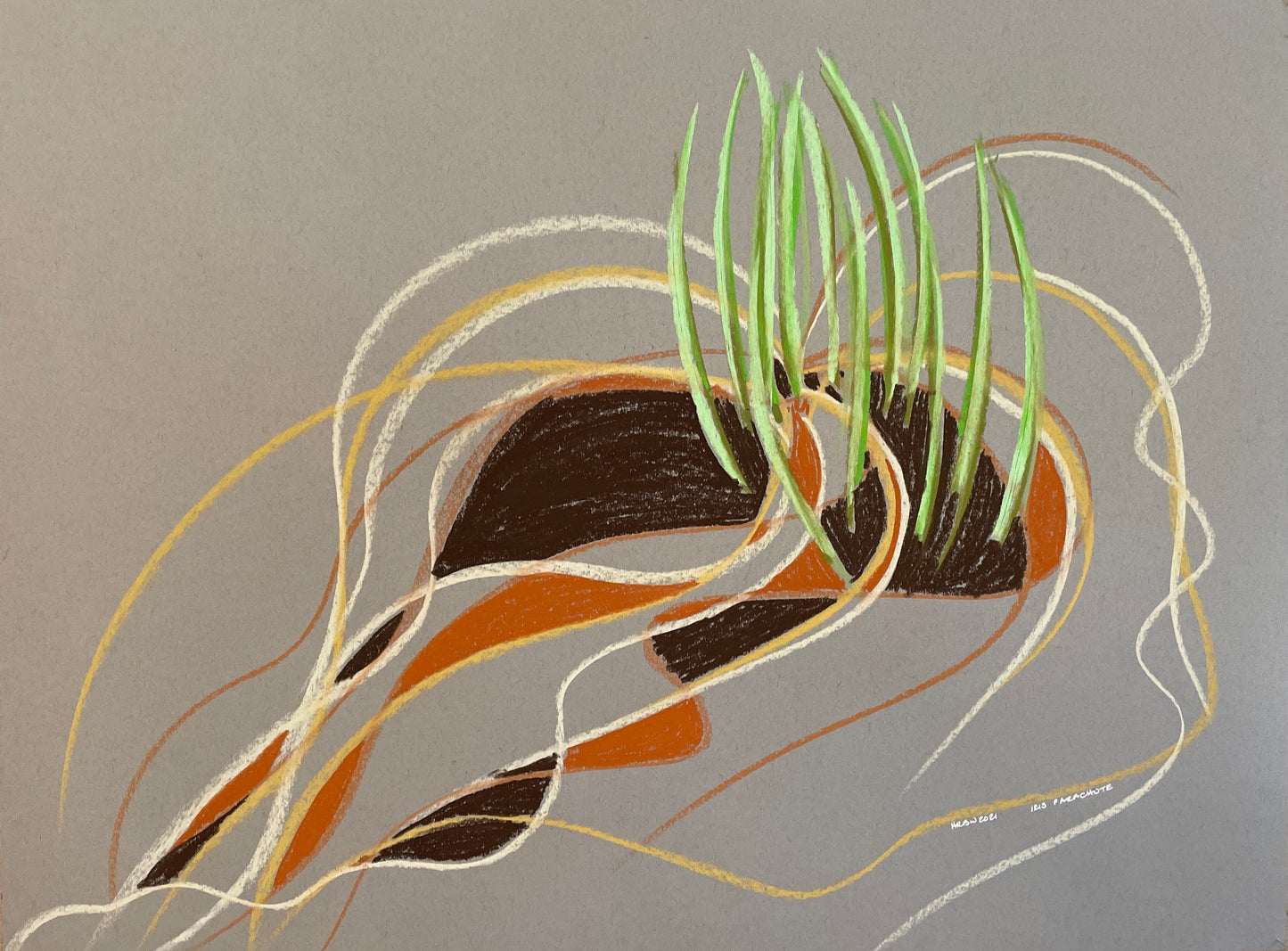Iris Parachute (unframed)