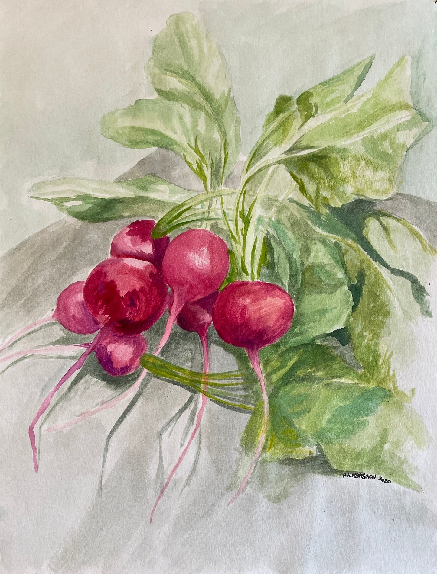 Radishes (unframed)