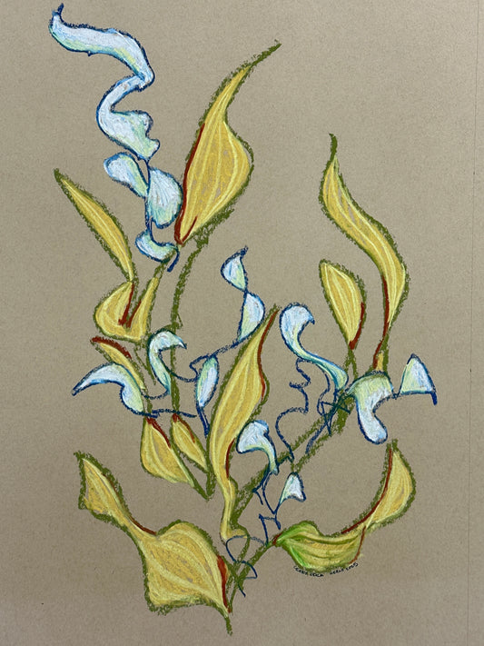 Crazy Okra (unframed)