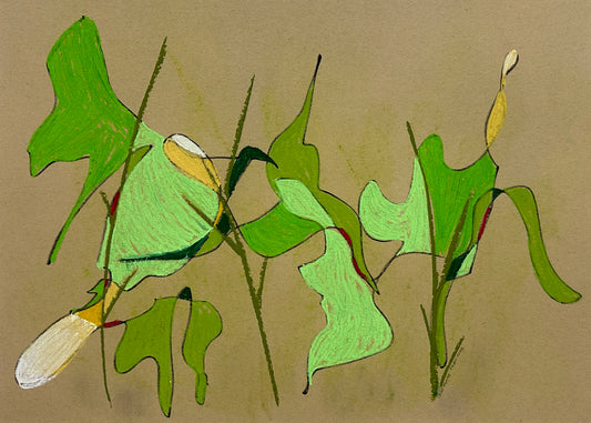 Leaf Flare (unframed)