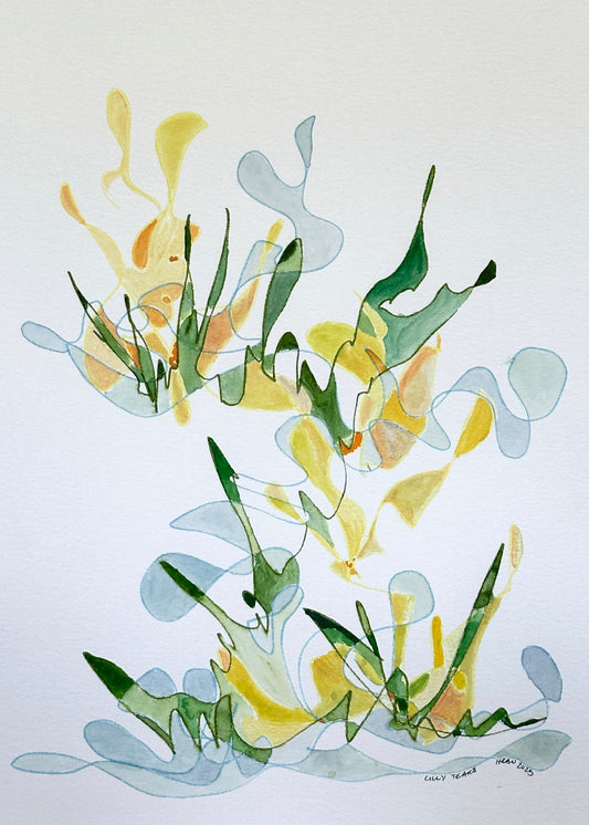 Lilies Tears (unframed)