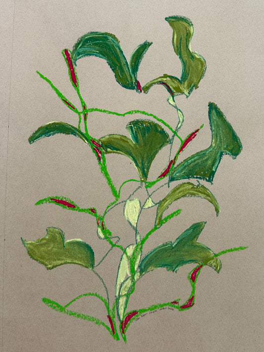 Oki Doki Okra (unframed)