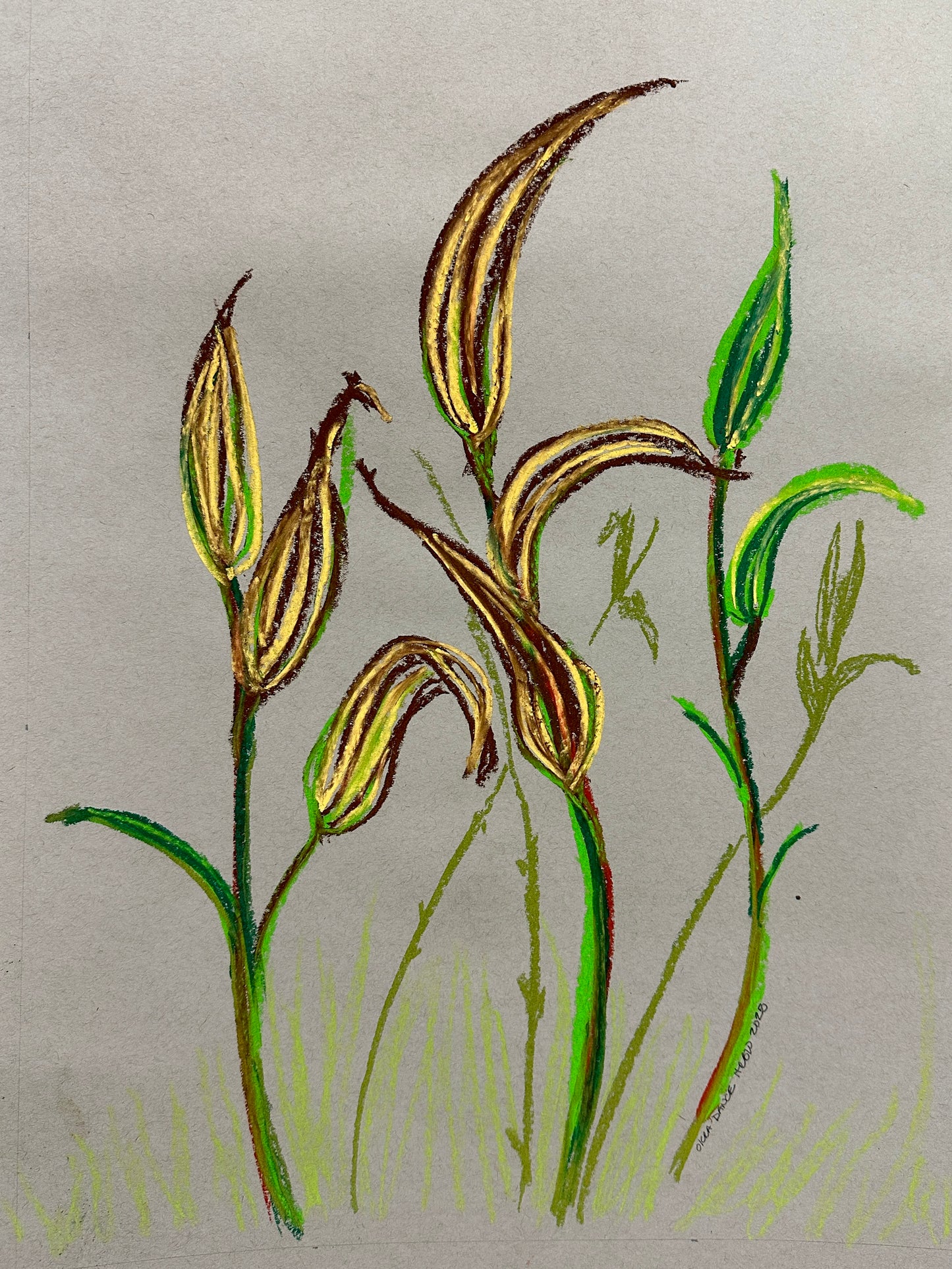 Okra Dance (unframed)