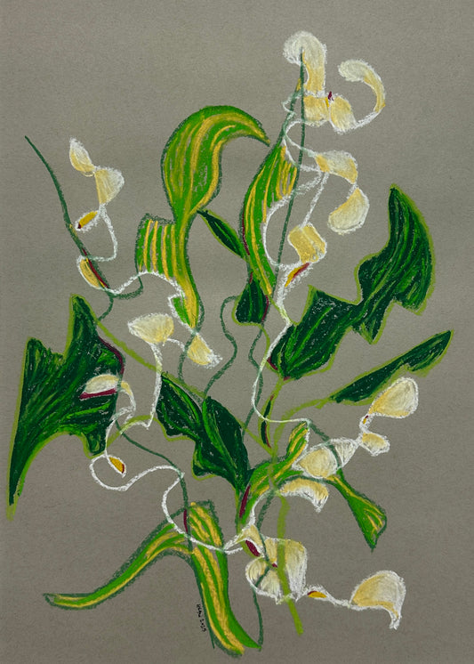 Petal Chassé (unframed)