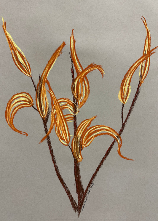 Womble Bounty (unframed)